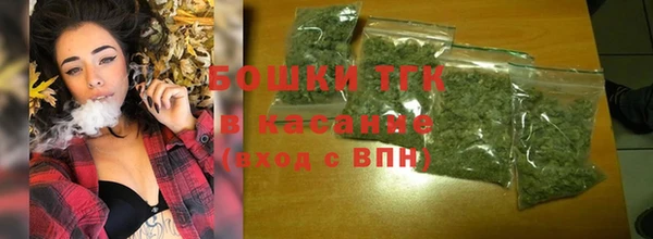 прущие грибы Абаза