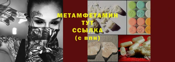 прущие грибы Абаза