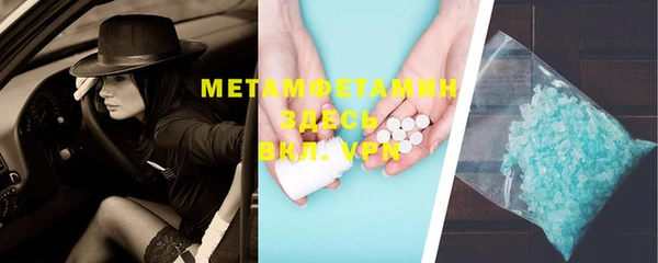 прущие грибы Абаза