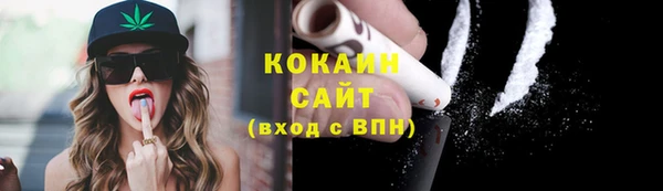 прущие грибы Абаза