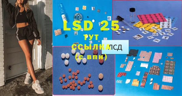 прущие грибы Абаза