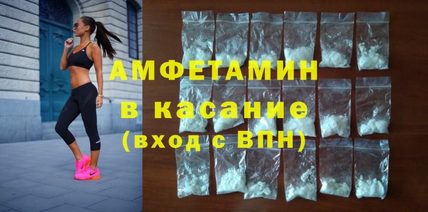 прущие грибы Абаза