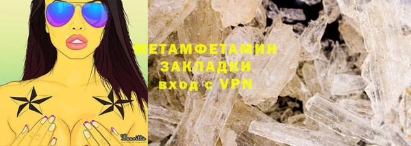 прущие грибы Абаза