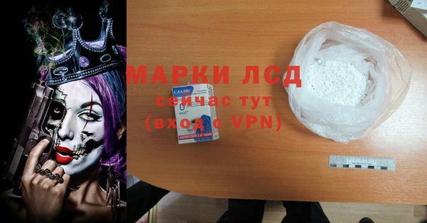 гашик Нея