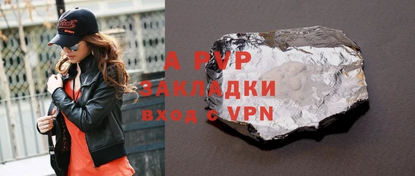 прущие грибы Абаза