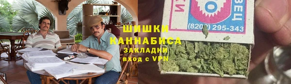 прущие грибы Абаза