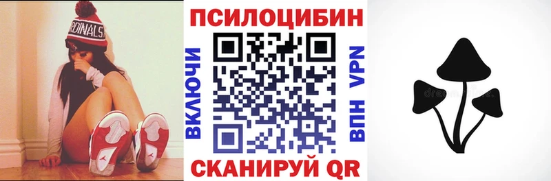 наркотики  Эртиль  Псилоцибиновые грибы мухоморы 