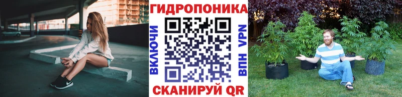 Конопля Bruce Banner  где купить наркоту  даркнет Telegram  Эртиль 